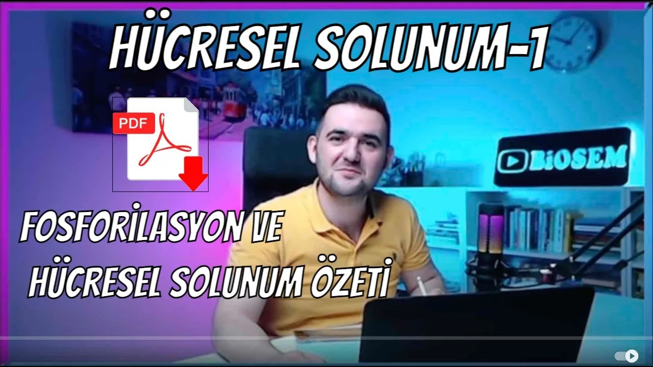 Biosem - Hücresel Solunum ve Fosforilasyon Konu Anlatımı PDF - PDF'yi indirmek için tıklayın! AYT HÜCRESEL SOLUNUM KONU ANL...