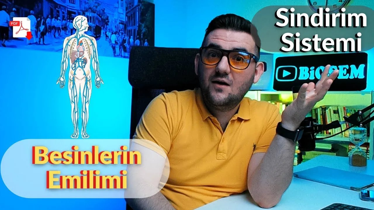 Biosem - Sindirim Sistemi Besinlerin Emilimi Konu Anlatımı PDF - PDF'yi indirmek için tıklayın! AYT SİNDİRİM SİSTEMİ BESİNLER...