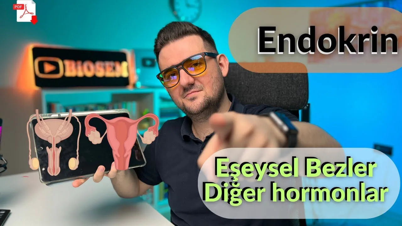 Biosem - Endokrin Sistem Eşeysel Bezler Konu Anlatımı PDF - PDF'yi indirmek için tıklayın! AYT ENDOKRİN SİSTEM EŞEYSEL B...