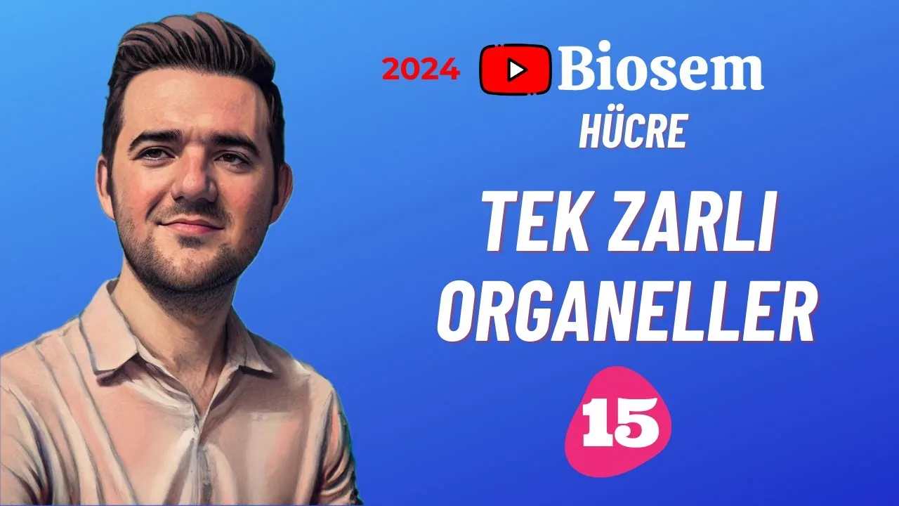 Biosem Tek Zarlı Organeller Konu Anlatımı PDF - PDF'yi indirmek için tıklayın! TYT BİYOLOJİ TEK ZARLI ORGANE...