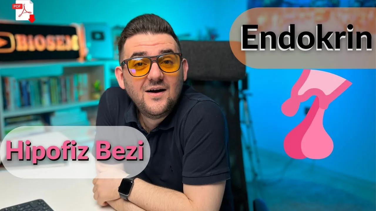 Biosem - Endokrin Sistem Hipofiz Bezi Konu Anlatımı PDF - PDF'yi indirmek için tıklayın! AYT ENDOKRİN SİSTEM HİPOFİZ B...