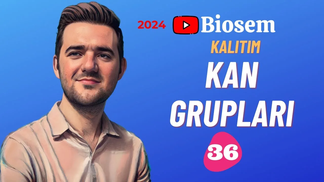 Biosem Kan Grupları Konu Anlatımı PDF - PDF'yi indirmek için tıklayın! TYT BİYOLOJİ KAN GRUPLARI KON...