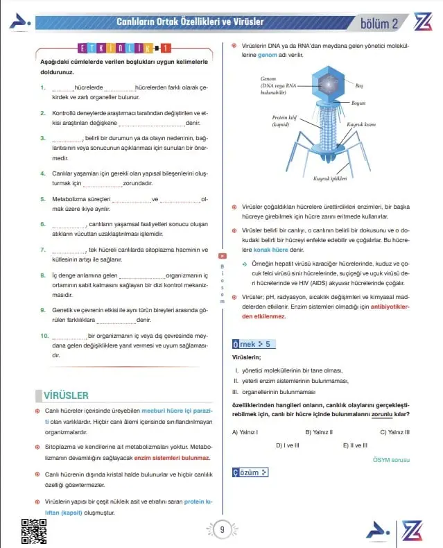 9.sinif-biyoloji-yeni-mufredat-canlilarin-ortak-ozellikleri
