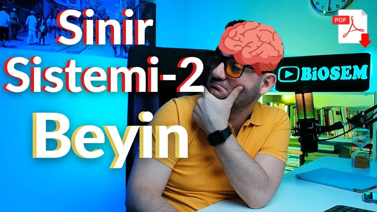 Biosem - Sinir Sistemi Beyin Konu Anlatımı PDF - PDF'yi indirmek için tıklayın! AYT SİNİR SİSTEMİ - BEYİN KON...