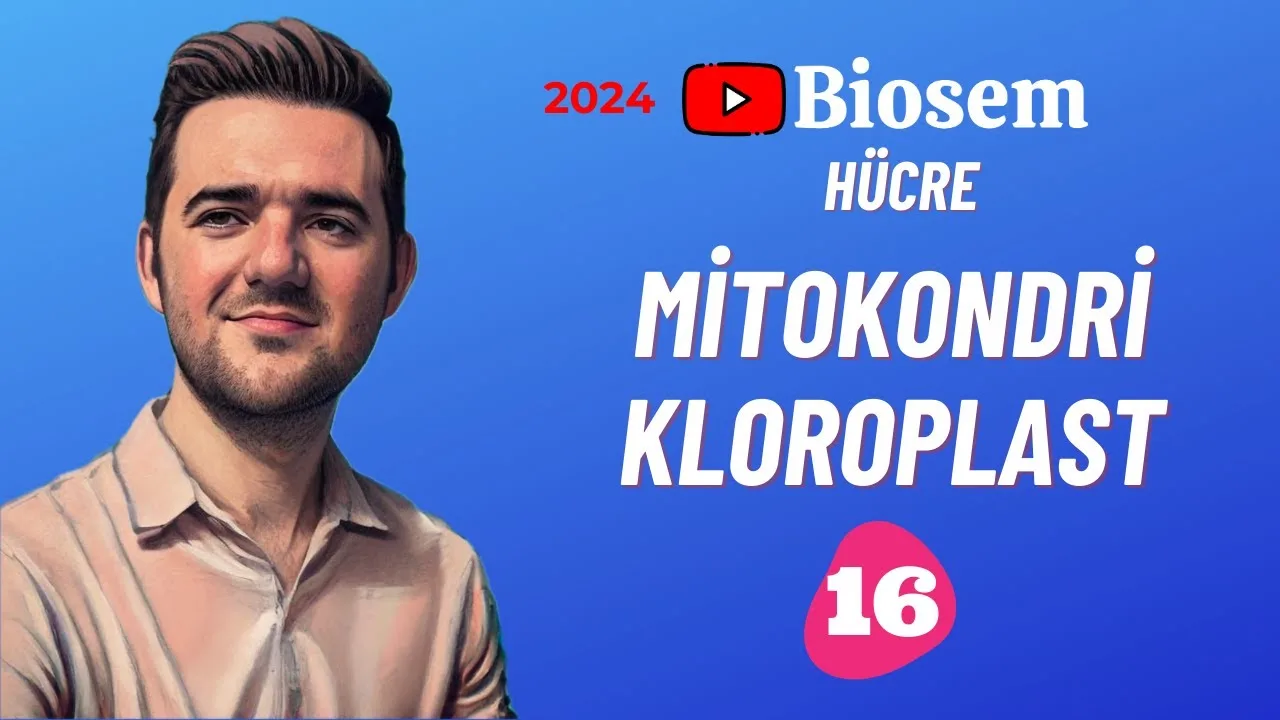 Biosem Mitokondri Ve Plastitler Konu Anlatımı PDF - PDF'yi indirmek için tıklayın! TYT BİYOLOJİ MİTOKONDRİ VE PL...