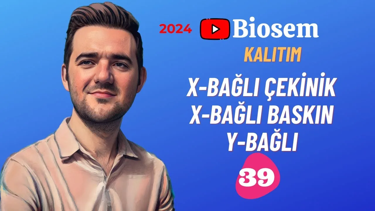 Biosem X ve Y Bağlı Kalıtım Konu Anlatımı PDF - PDF'yi indirmek için tıklayın! TYT BİYOLOJİ X VE Y BAĞLI KA...