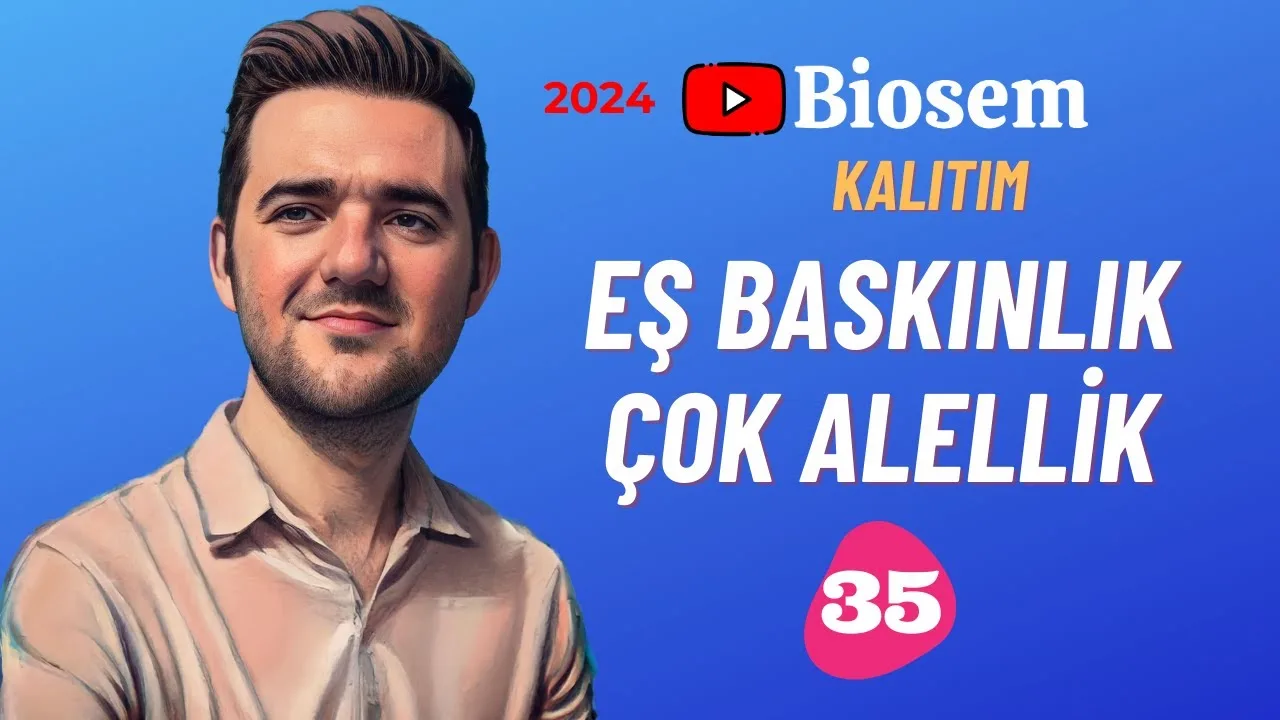 Biosem Eş Baskınlık Çok Alellilik Konu Anlatımı PDF - PDF'yi indirmek için tıklayın! TYT BİYOLOJİ EŞ BASKINLIK ÇOK...