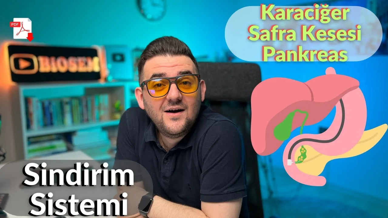 Biosem - Sindirim Sistemi Karaciğer, Safra Kesesi ve Pankreas Konu Anlatımı PDF - PDF'yi indirmek için tıklayın! AYT SİNDİRİM SİSTEMİ KARACİĞE...