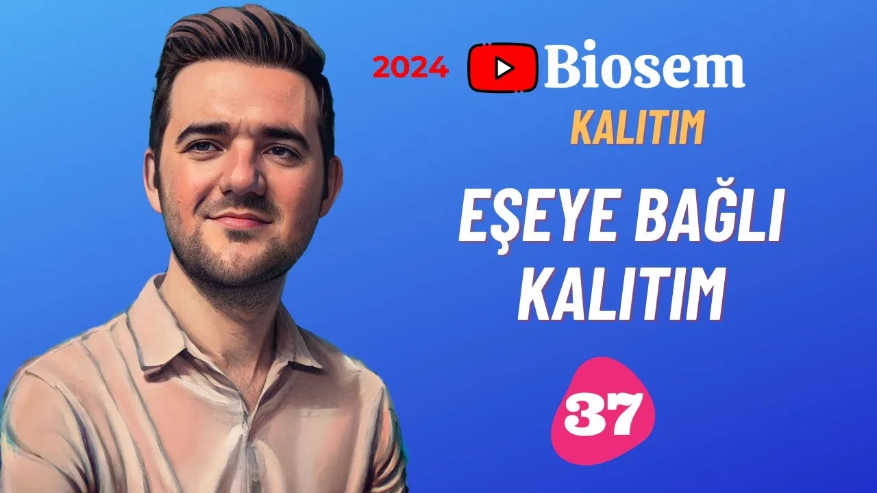 Biosem Eşeye Bağlı Kalıtım Konu Anlatımı PDF - PDF'yi indirmek için tıklayın! TYT BİYOLOJİ EŞEYE BAĞLI KA...