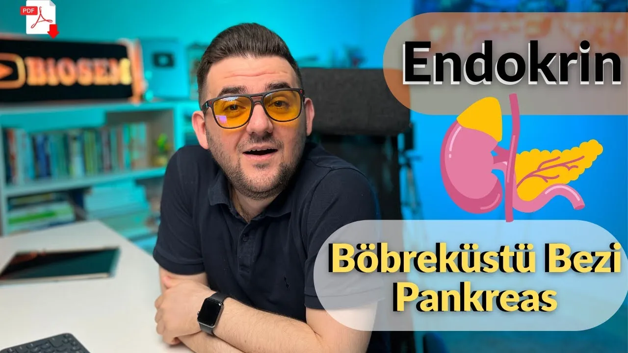 Biosem - Endokrin Sistem Böbrek Üstü Bezi ve Pankreas Konu Anlatımı PDF - PDF'yi indirmek için tıklayın! AYT ENDOKRİN SİSTEM BÖBREK ÜS...