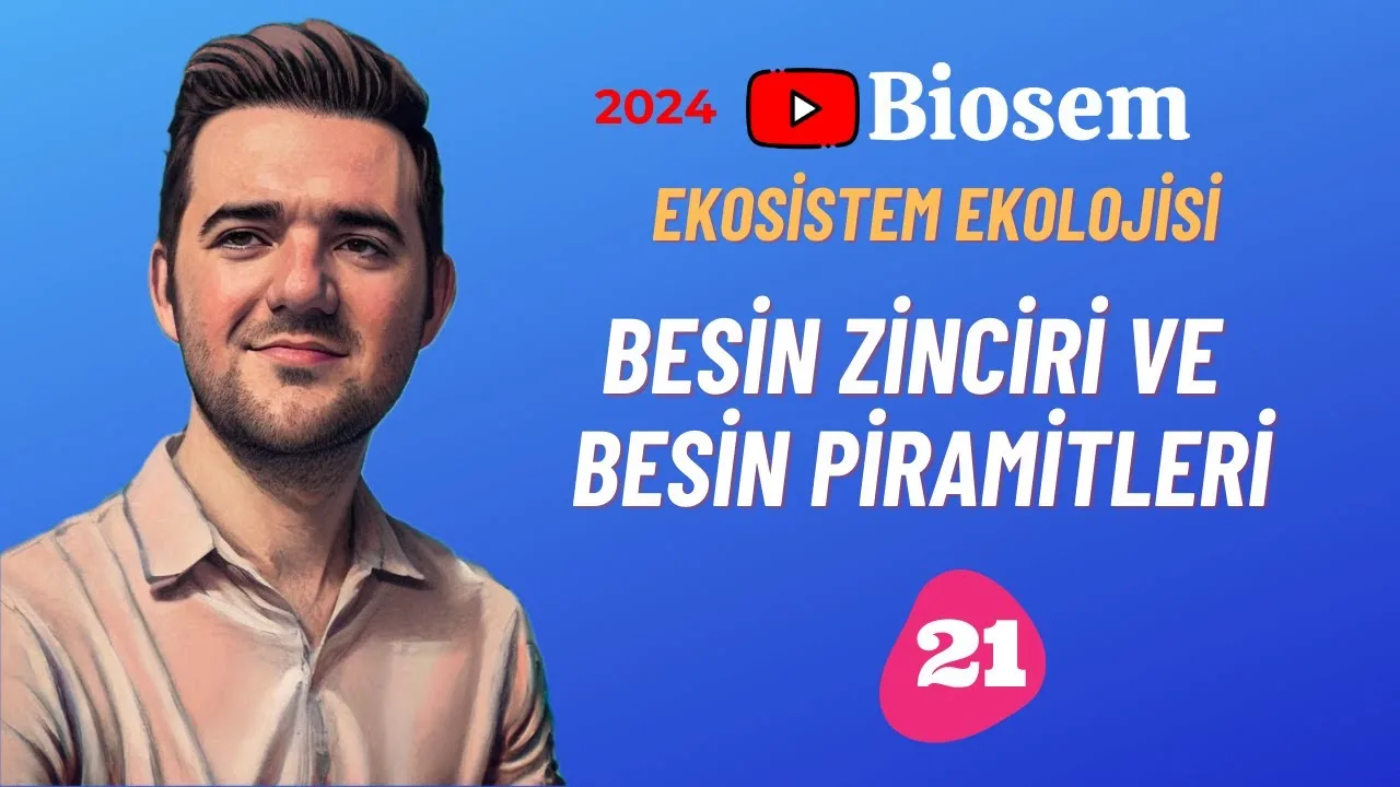 Biosem Besin Zinciri ve Besin Piramidi Sentrozom Konu Anlatımı PDF - PDF'yi indirmek için tıklayın! TYT BİYOLOJİ BESİN ZİNCİRİ VE...