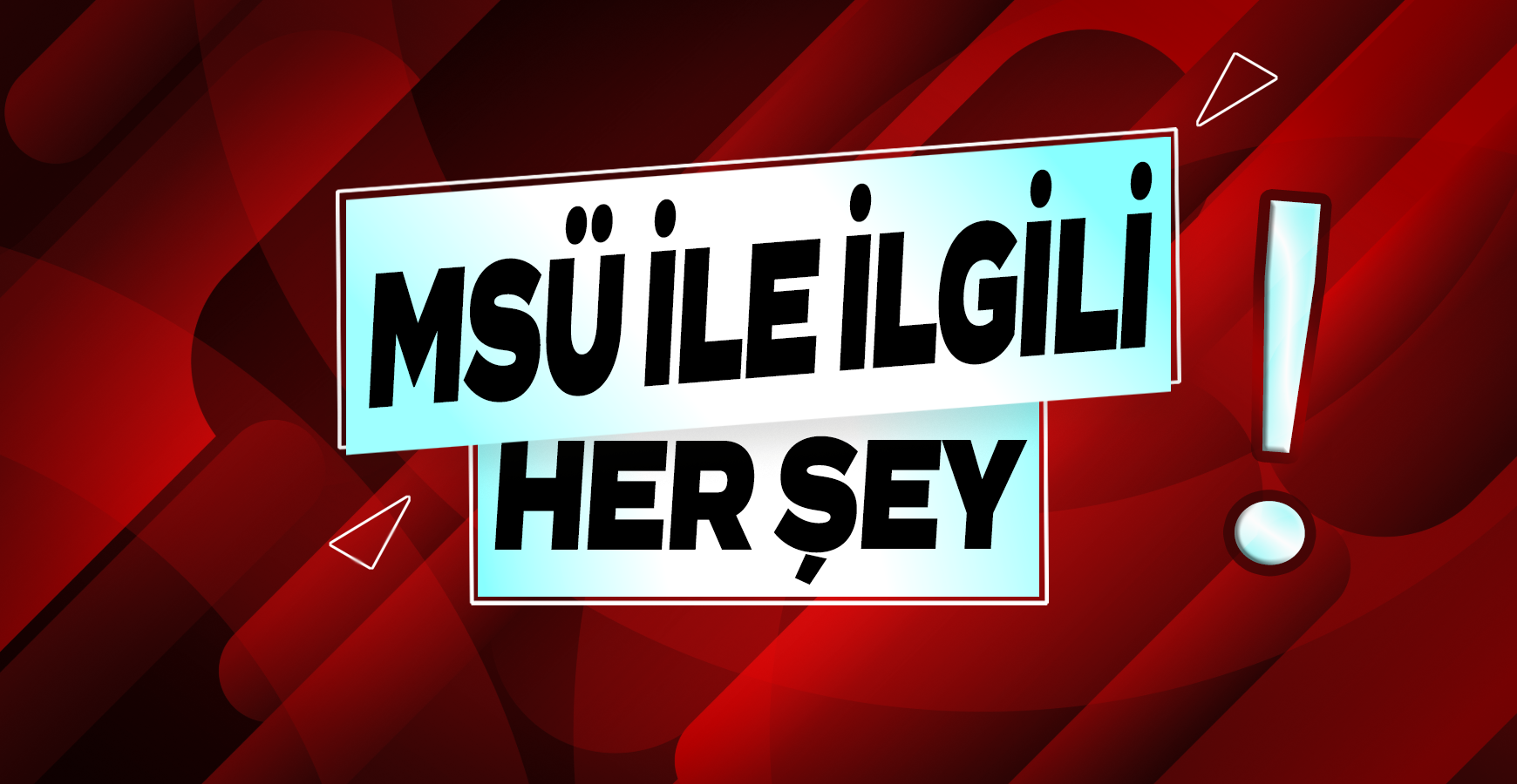 MSÜ İLE İLGİLİ HER ŞEY - Her sene “MSÜ nedir?” “MSÜ ne zaman?” “Kimler MSÜ’ye girebil...