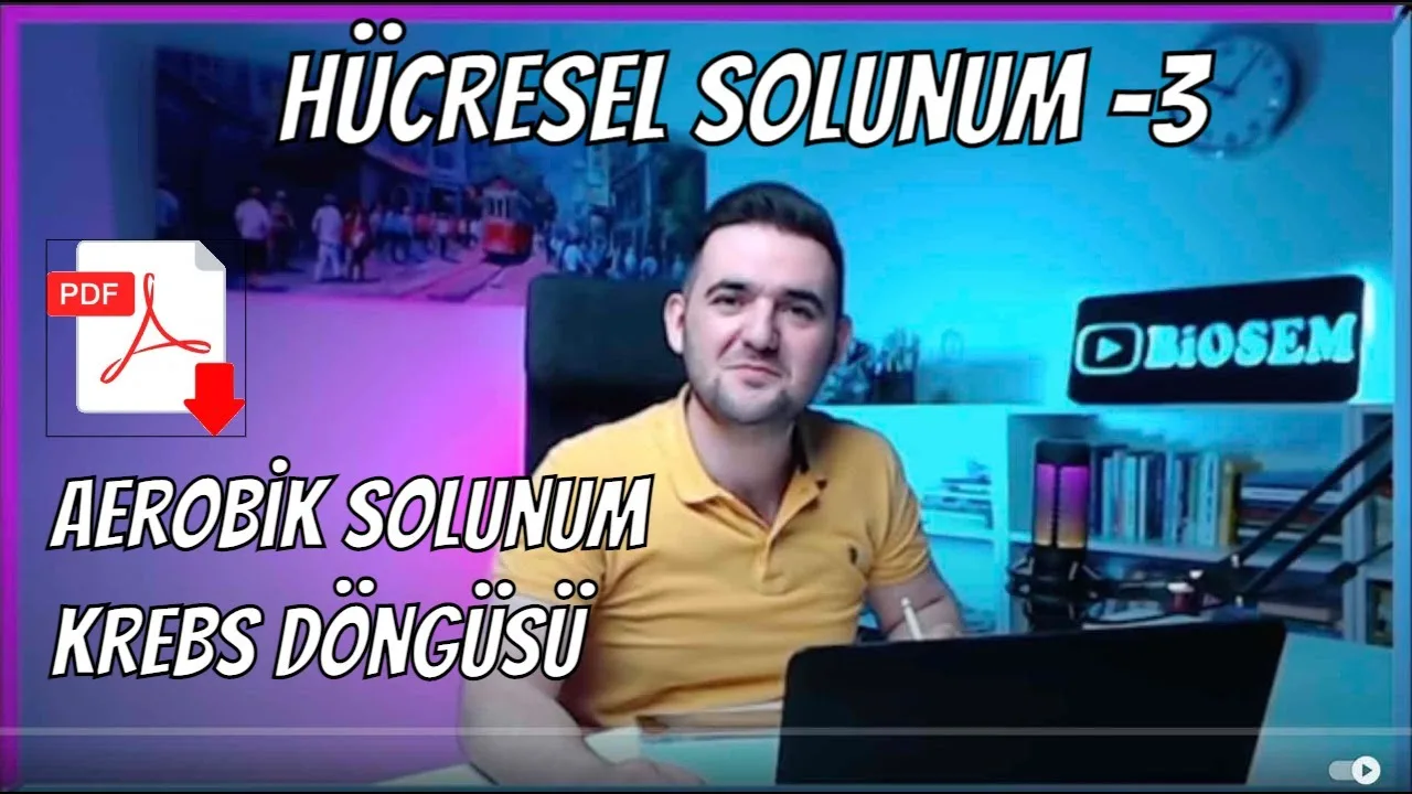 Biosem - Hücresel Solunum Krebs Döngüsü Konu Anlatımı PDF - PDF'yi indirmek için tıklayın! AYT HÜCRESEL SOLUNUM KREBS DÖ...
