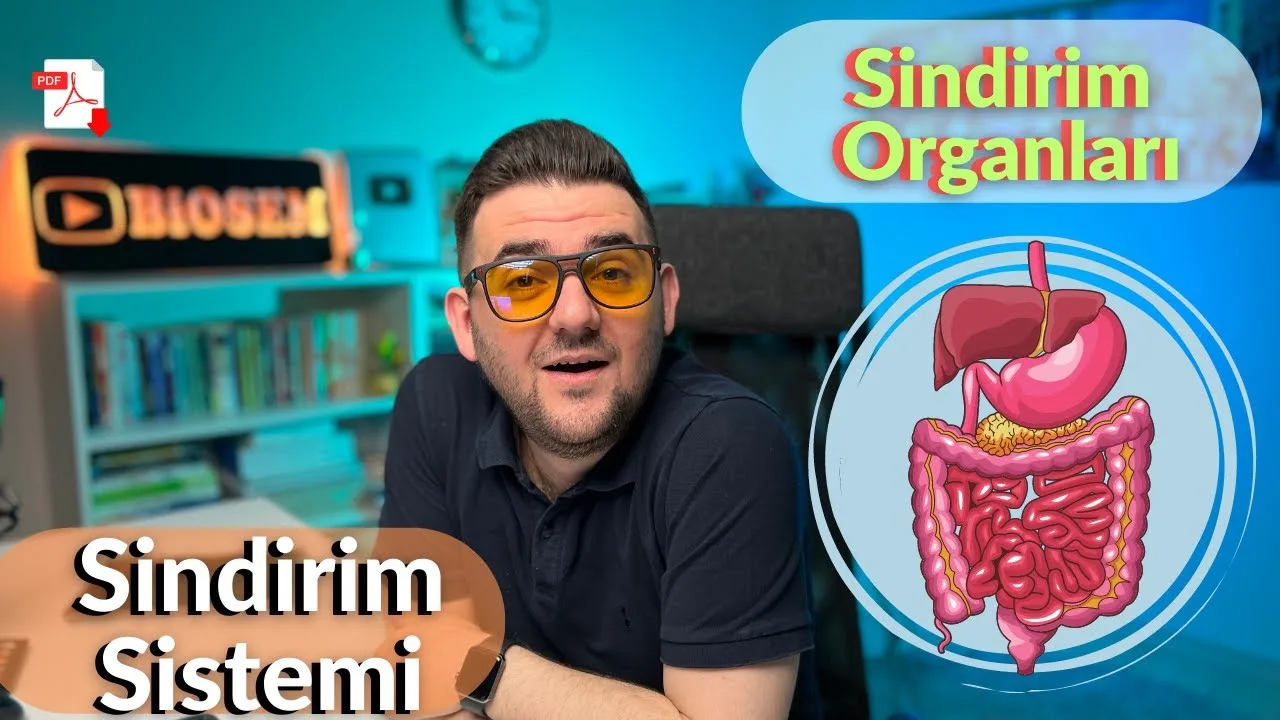 Biosem - Sindirim Sistemi, Sindirim Organları Konu Anlatımı PDF - PDF'yi indirmek için tıklayın! AYT SİNDİRİM SİSTEMİ KONU ANL...