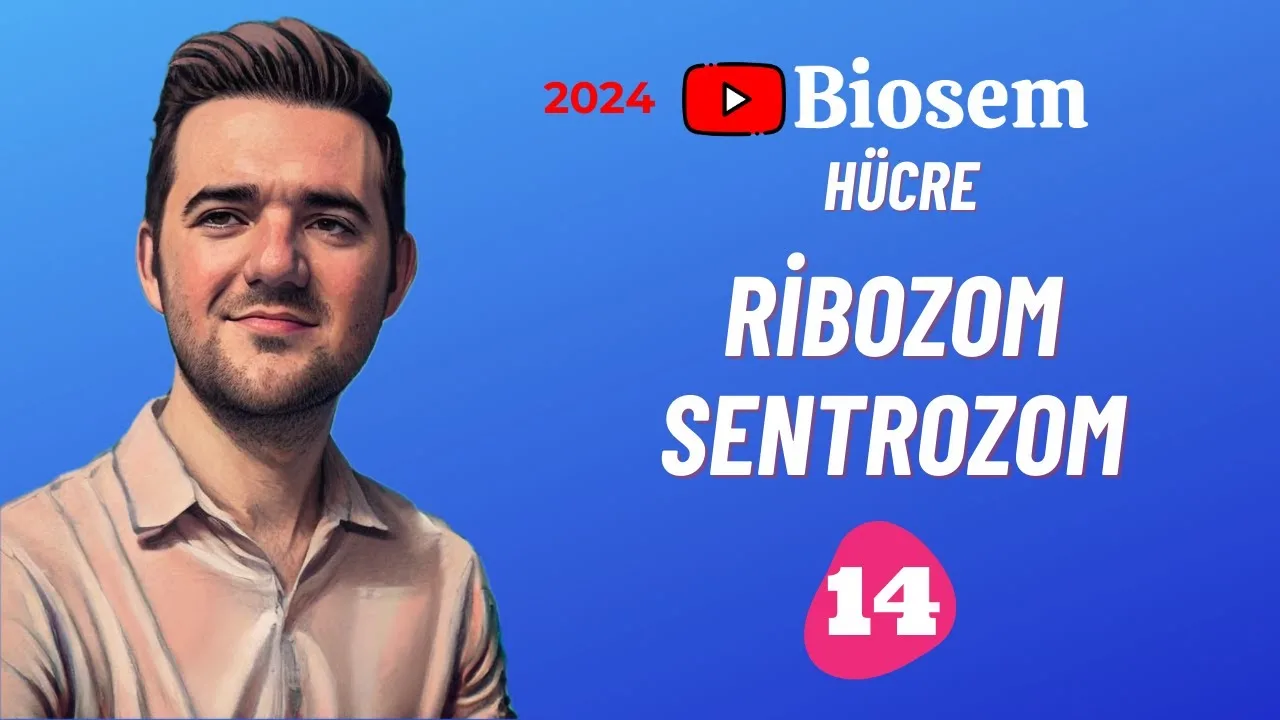 Biosem Ribozom Sentrozom Konu Anlatımı PDF - PDF'yi indirmek için tıklayın! TYT BİYOLOJİ RİBOZOM SENTROZO...