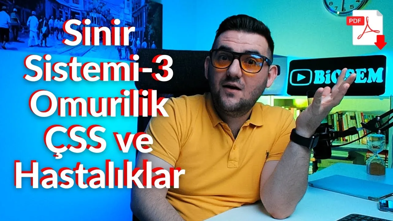 Biosem - Sinir Sistemi Çevresel Sinir Sistemi ve Hastalıkları Konu Anlatımı PDF - PDF'yi indirmek için tıklayın! AYT SİNİR SİSTEMİ ÇEVRESEL Sİ...