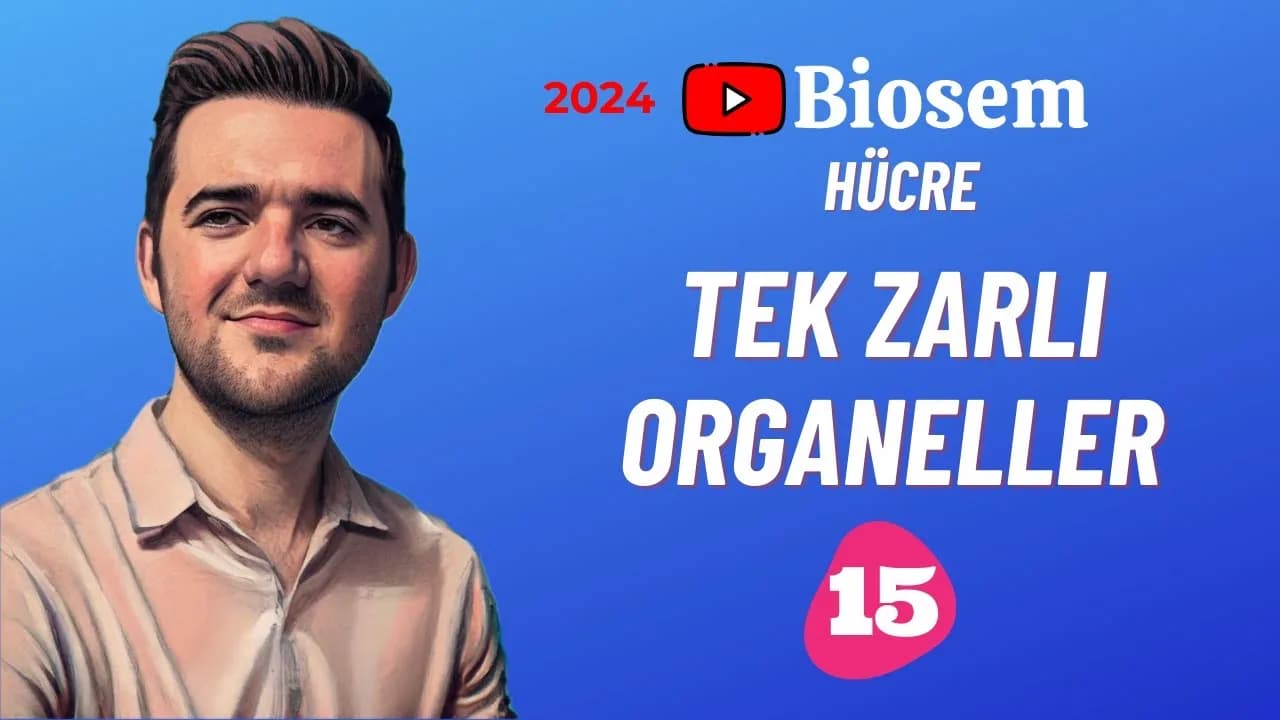 Biosem Tek Zarlı Organeller Konu Anlatımı PDF
