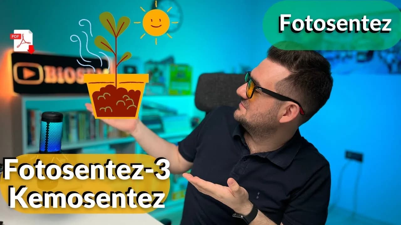 Biosem - Kemosentez Konu Anlatımı PDF