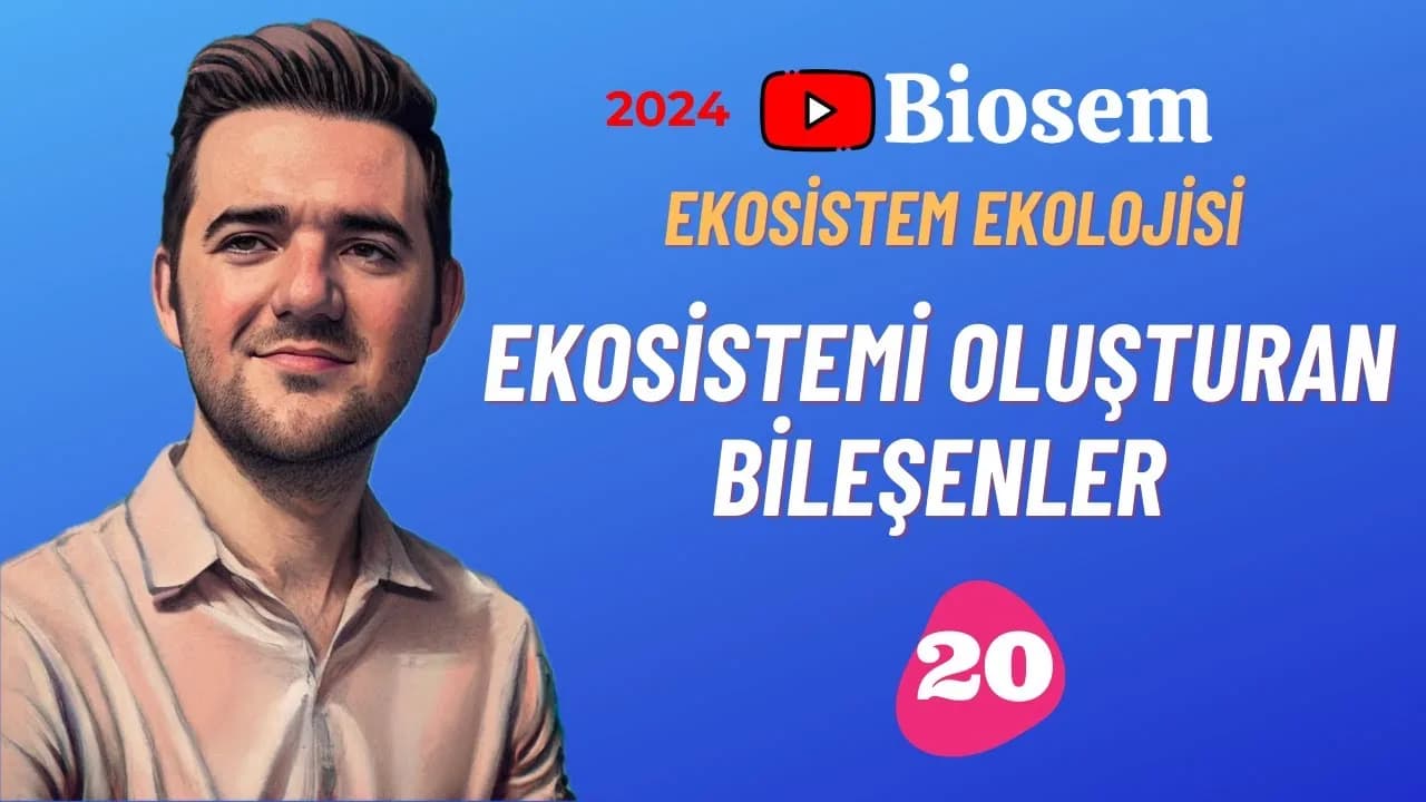 Biosem Ekosistemi Oluşturan Bileşenler Konu Anlatımı