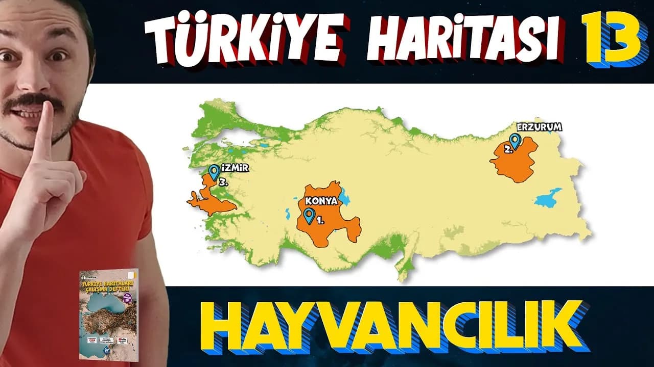 Coğrafyanın Kodları - Türkiye'de Hayvancılık Harita Bilgisi Çalışması PDF