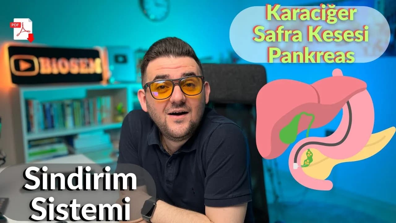 Biosem - Sindirim Sistemi Karaciğer, Safra Kesesi ve Pankreas Konu Anlatımı PDF