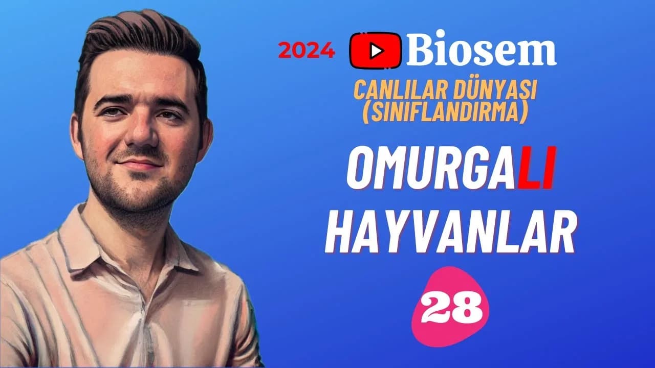 Biosem Omurgalı Hayvanlar Konu Anlatımı PDF