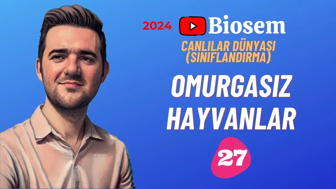 Biosem Omurgasız Hayvanlar Konu Anlatımı PDF